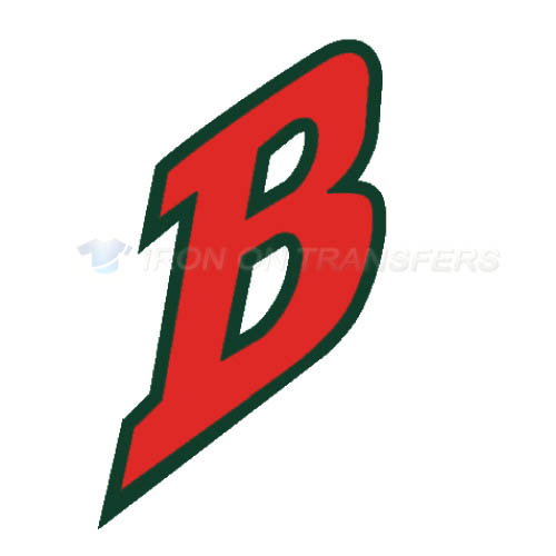 Buffalo Bisons Iron-on Stickers (Heat Transfers)NO.7930
